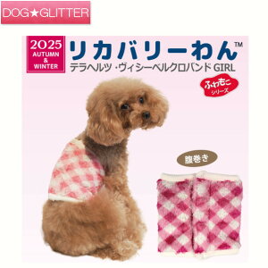 N[N`[ ewc BV[xNeohGIRLp  }WbNe[vt  hbOEFA ₦΍ Jo[ ̉PA ̎qp  { ewc