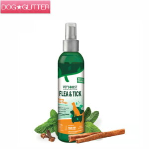 xbcxXg tA`bNXv[ 236mlp ̂݃_jXv[ _jEm~ 쏜 VETS+BEST VETSBEST