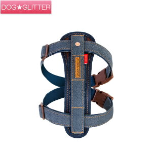 C[W[hbO n[lX STCY J[Ffj