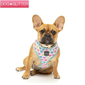 t@Y[h \tgn[lX LfBn[c LTCY