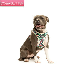 t@Y[h \tgn[lX _Ci\[h XSTCY Vv Ȃ FuzzYard