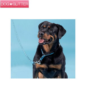 GC`t@CufB XbvIJ[ MTCYS4F 4TCY p Vv   H5D HIGH5DOGS nCt@CuhbOX