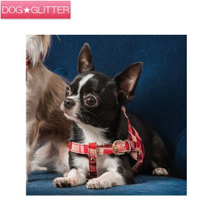 iEAht@Ee {fBxg D^Cv WG[^C Vv Ȃ   n[lX {v v nv NowFountain