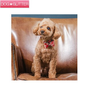 iEAht@Ee  WG[^C STCY Vv { J[ p {v v nv NowFountain