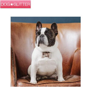 iEAht@Ee  2024胂f WG[^C Vv { J[ p {v v nv NowFountain