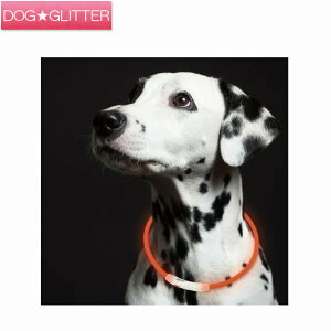 [vZCt@LEDOCgp ybgp 2TCY 45cm 65cm S6F zCg O[ IW sN  U LEDCg S ROOP