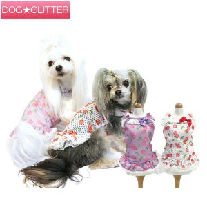 N[N`[ X[p[N[×N[ `F[}h[ CooCouture supercool×coolplus2021 y