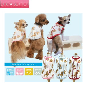 N[N`[ X[p[N[×N[ fBfBxA2022xN^N CooCouture supercool×coolplus2022  ̕ t j̎q ̎q ^Ngbv hbOEFA  킢