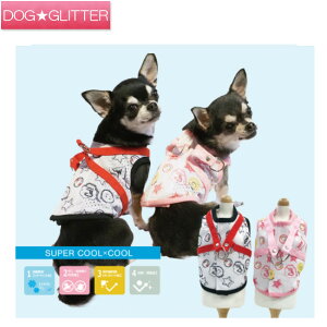 N[N`[ X[p[N[×N[ WOWn[lX CooCouture supercool×coolplus2022 ^ ^ ^ t j̎q ̎q n[lX  킢 Ȃ