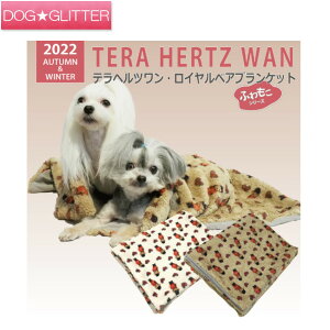 N[N`[ ewc CxAuPbgp ѕz H~ VjA  Nێ {An ۂۂ g CooCouture TeraHertzWan Winter2022