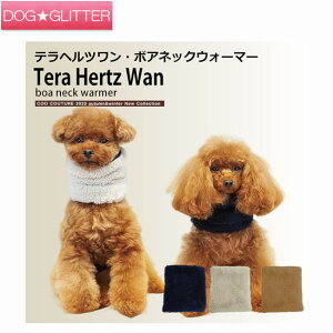 N[N`[ ewc {AlbNEI[}[p Xk[h  H~ VjA  Nێ ۂۂ g CooCouture TeraHertzWan Winter2023