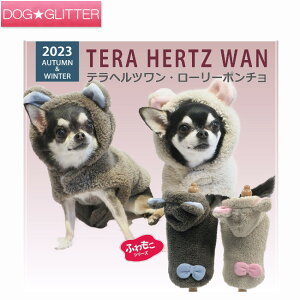 N[N`[ ewc [[|`p  m hbOEFA H~ VjA  Nێ ۂۂ g wJ CooCouture TeraHertzWan Winter2023