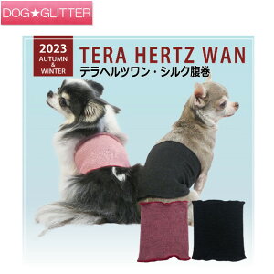 N[N`[ ewc VNp j̎qp oh H~ VjA  Nێ ۂۂ g CooCouture TeraHertzWan Winter2023