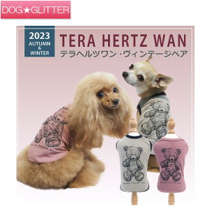 N[N`[ ewc Be[WxAp  m hbOEFA H~ VjA  Nێ ۂۂ g CooCouture TeraHertzWan Winter2023