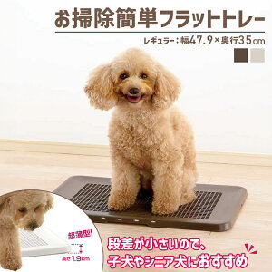 |ȒPtbgg[ M[ gC g[ ^ ps[ VjA |ȒP bV ybgpi Yɂ Richell b`F _[NuE AC{[