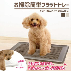 お掃除簡単フラットトレー ワイド トイレ トレー 薄型 パピー シニア犬 お掃除簡単 メッシュ ペット用品 幅広 Richell リッチェル ダークブラウン アイボリー