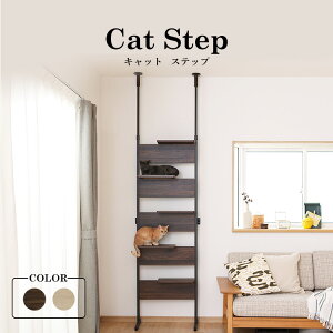 LbgXebv LbgEH[N  ˂ I  ǂȂ  Ǖt Lbg^[ A ؐ X ȃXy[X  ACXI[} L NAVFt ^ CATS-6