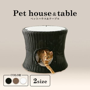 ybgnEX  ~  CeA ybg nEX e[u ی^ ybgxbh [e[u TChe[u NbVt KX ^ xbh Vv i  L