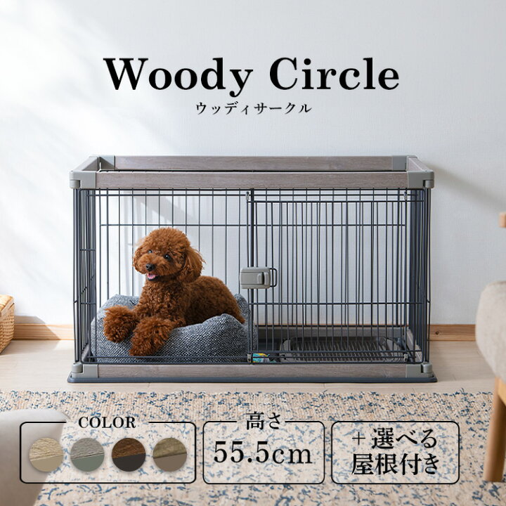楽天市場】【最大3000円オフクーポン！1日限定】【レビュープレゼント  