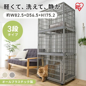 L P[W 3i LX^[t Q[W ACXI[} LP[W  LbgP[W vX`bN y 􂦂 Â gݗĊȒP LQ[W  ybgP[W ybgT[N 