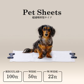 ペットシーツ ペットシート ワイド 厚型 レギュラー 2個セット 犬 猫 トイレ ダブルワイド 超吸収 おしっこシート 使い捨て 超速吸ペットシーツ 吸収 犬用 猫用 スピード吸収 アイリスオーヤマ CSPS-100 CSPS-50W CSPS-22DW