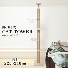 キャットタワー キャットハウス つっぱり式 突張式アスレチックタワー バルコニー 1011103004爪とぎ 多頭飼い 省スペース バルコニー付き アクリルボール 猫ハウス 木製