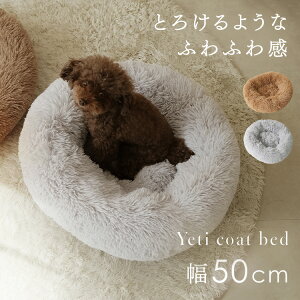 ybgxbh ~  킢  L ی` pxbh Lpxbh hbOxbh Lbgxbh ʔN I[V[Y ӂӂ ӂ ӂӂ  NbV \t@ uE