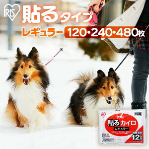 _ybĝUɁI^120 240 480 JC \ 240 ACXI[} 240 \JC 240(10×24) \JCh ^ ΍  ObY ߕ  ₦ 