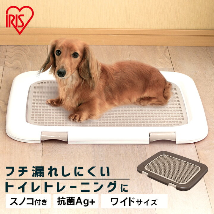 楽天市場 犬 トイレトレー フチもれしにくいトレーニングペットトレー ワイドサイズ すのこ付き Ftt 635 幅63 5cm メッシュすのこ トレーニング 犬 トイレ トイレトレー トイレタリー いぬ イヌ アイリスオーヤマ ドッグパーク Cp5 3 犬とenjoｙ ドッグパーク
