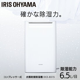 楽天市場 除湿器 一人暮らしの通販
