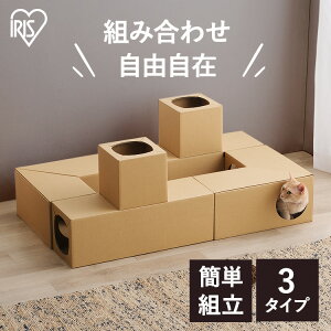 【セット品】おもちゃ 猫 トンネル 一人遊び ダンボールハウス キャット アイリスオーヤマ ねこねこ 玩具 運動不足 ストレス解消 組み立て簡単 用 ペット用 キャットハウス ダンボール 段ボ