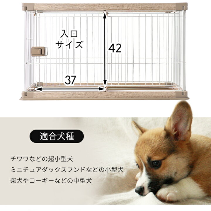 楽天市場】犬 ケージ おしゃれ ペットケージ 組み立て簡単小型犬 中型 