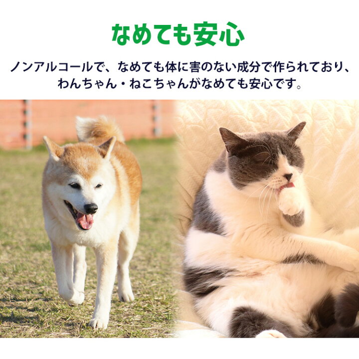 楽天市場】ウェットティッシュ ペット アイリスオーヤマ ペット用除菌ウェットティッシュ 80枚入×3P PWT-3P ペット ペット用 ペット用品 除菌 ウェットティッシュ 犬 イヌ いぬ ネコ 猫 ねこ アイリスオーヤマ : 犬とEnjoy!ドッグパーク 楽天市場】ウェットティッシュ ペット アイリスオーヤマ ペット用除菌ウェットティッシュ 80枚入×3P PWT-3P ペット ペット用 ペット用品 除菌 ウェットティッシュ 犬 イヌ いぬ ネコ 猫 ねこ アイリスオーヤマ : 犬とEnjoy!ドッグパーク