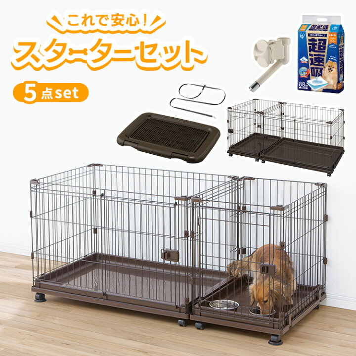 楽天市場】スターターセット 犬 小型犬 ペット 犬用 5点セット 