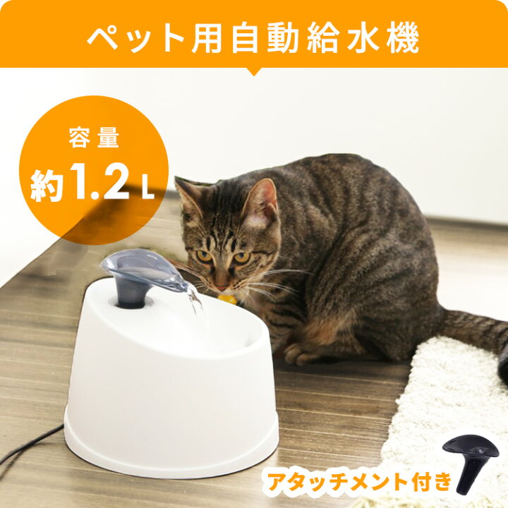 楽天市場】スターターセット 猫 キャット ペット用 猫用 3点セット 
