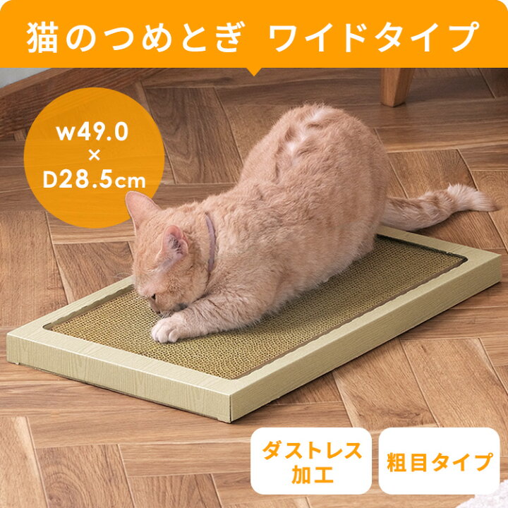 楽天市場】スターターセット 猫 キャット ペット用 猫用 5点セット 