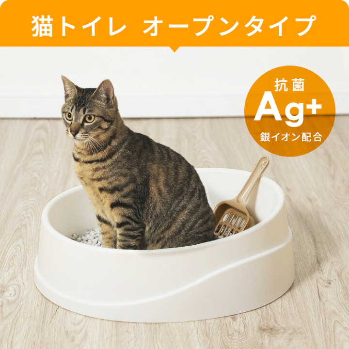 楽天市場】スターターセット 猫 キャット ペット用 猫用 5点セット 