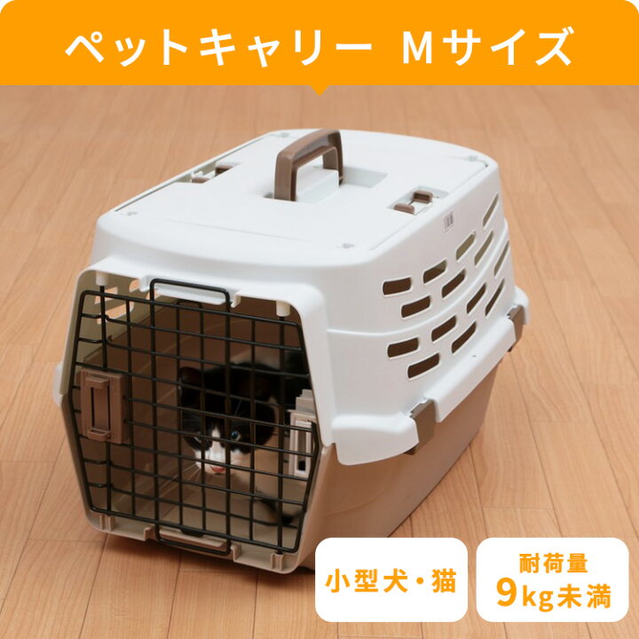 楽天市場】スターターセット 猫 キャット ペット用 猫用 3点セット 