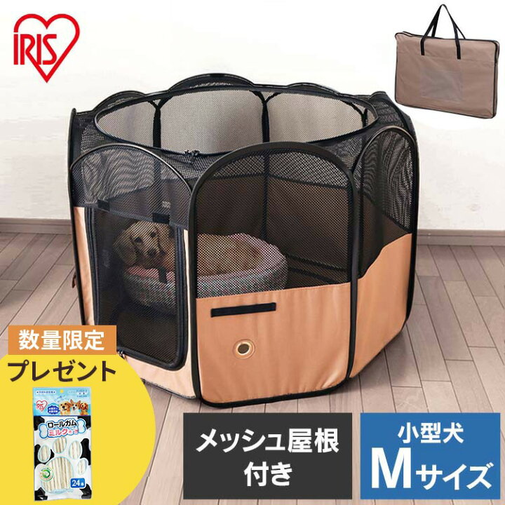 楽天市場】【ワンワンweek☆11%オフクーポン！】【今ならおまけ付き 