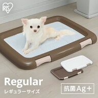 トイレトレー トレーニング 犬 洗える 犬 トイレ おしゃれ ペット トイレトレー 犬用 ペットトイレ 犬ト…
