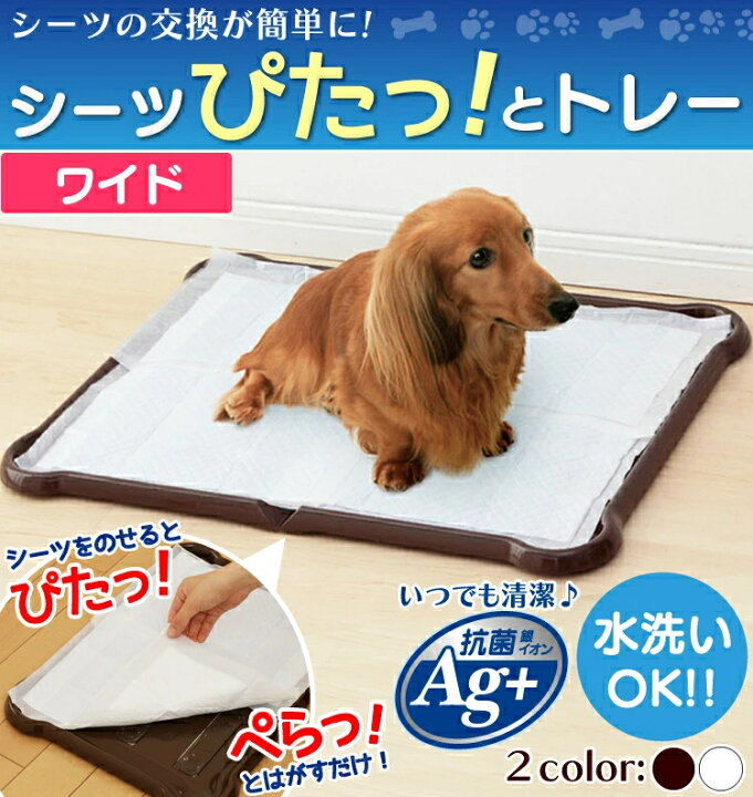 楽天市場 犬 トイレ トレー ペットトイレ トレーニングペット 犬用トイレトレー 犬 トイレ ペットトイレ トイレトレー ワイド ペット用 犬用 しつけ 犬用トイレ ペット用トイレ 犬トイレ 簡単取り替え アイリスオーヤマ シーツぴたっとトレー ワイド ホワイト ブラウン P