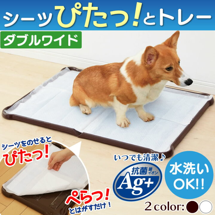 2613円 18％OFF トイレ用品 Dog toilet 水洗い可能 シーツぴたっとトレー ダブルワイド カラー