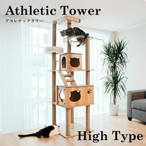 Lbg^[ X ؐ FD u ȃXy[X nC^Cv 185 Lbgc[ L^[ ̂ڂAX`bN^[ 1441106002 Vv ܂Ƃ ^s o~肵₷