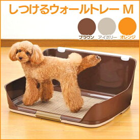 楽天市場 犬 トイレ メッシュの通販