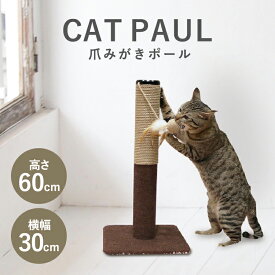 おもちゃ 猫用 モダンルーム 爪みがきポール 84190 爪みがき 猫 爪とぎ ポール おもちゃ コンパクト ネコ 爪みがき キャティーマン お手入れ用品 玩具