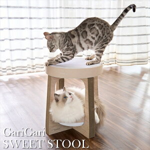 ܂Ƃ Lp L ߂Ƃ ܌ KKXC[g Xc[ { ֎q CX^  芷 i{[ Lbg 肪 ܃PA  킢 u^ Ă Lbg 