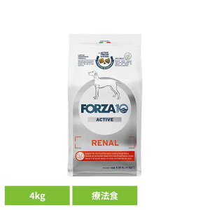 Forza10 i[ANeBu ~fBA 4kg Ö@H i`  AM[ t  A  tsS ^pN  yBz