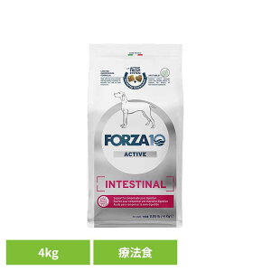 Forza10 CeXeBiANeBu ~fBA 4kg Ö@H i`  AM[ Ȃ ݒ      yBz