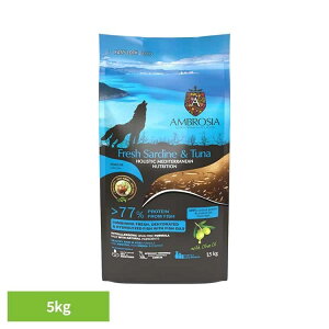 AuVA HMNT[fBci5kg 521205000 }O CV OCt[ ς  i`  AM[ 畆 yBz