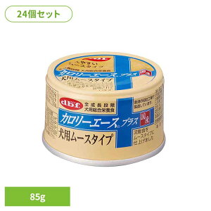 J[G[XvX p [X^Cv 85g×24 frt d.b.f   hbOt[h H h{H  FY FܖY H frtybg